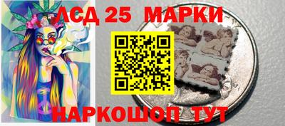 меф Гатчина
