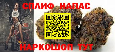 меф Гатчина