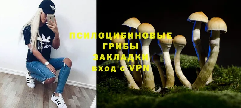 нарко площадка какой сайт  Каменск-Уральский  Псилоцибиновые грибы Magic Shrooms 