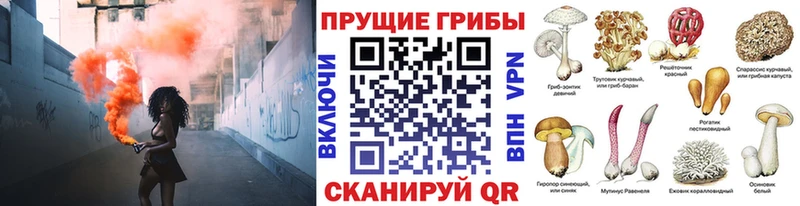 Галлюциногенные грибы ЛСД  Каменск-Уральский 