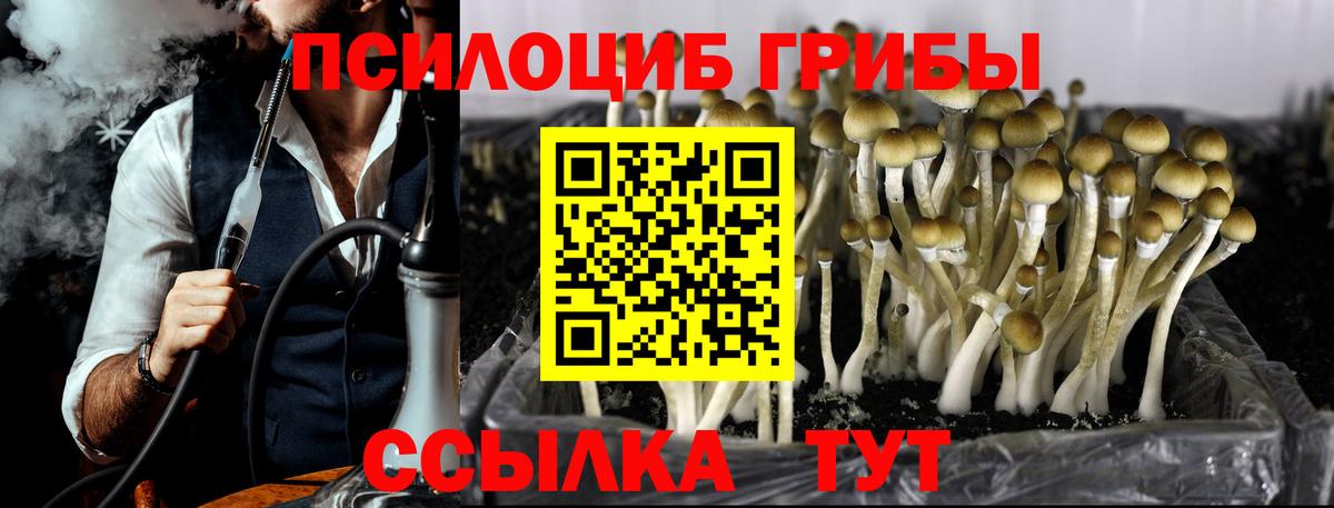 Псилоцибиновые грибы MAGIC MUSHROOMS  Галлюциногенные грибы Magic Shrooms  Каменск-Уральский  Вход с VPN 