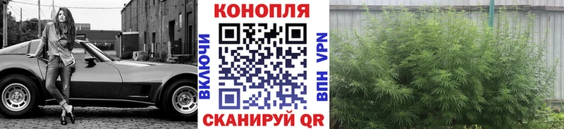 МАРИХУАНА OG Kush  мега зеркало  Каменск-Уральский 